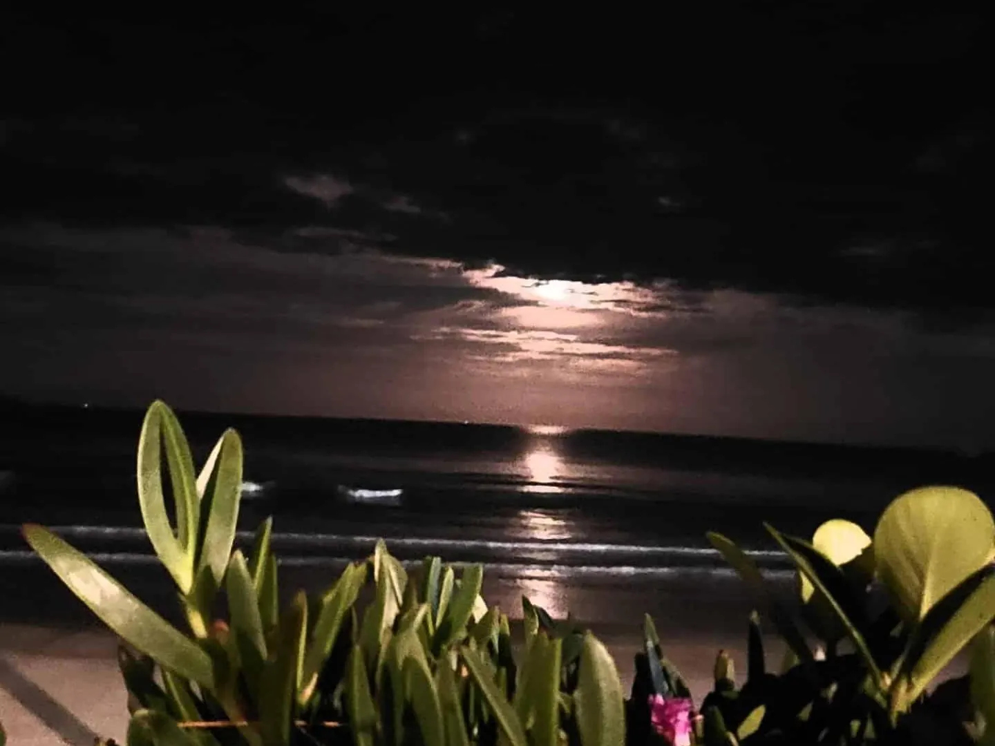 Ferias Dos Sonhos Em Garopaba Apartment 0*,  Brazil